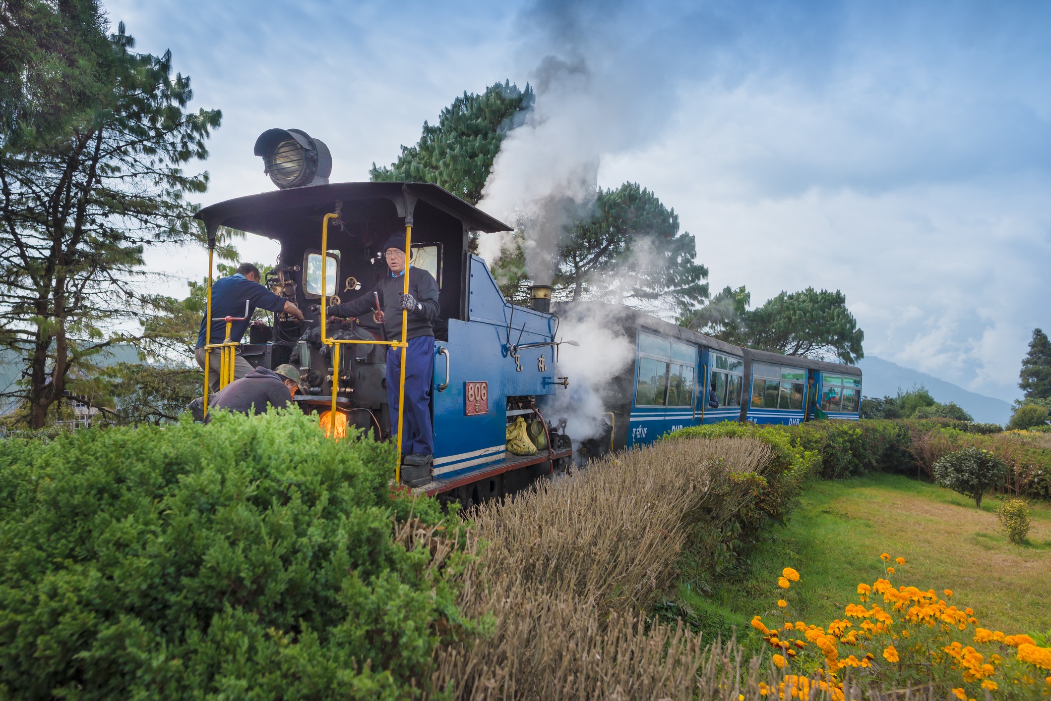 W. Bengal (Darjeeling)